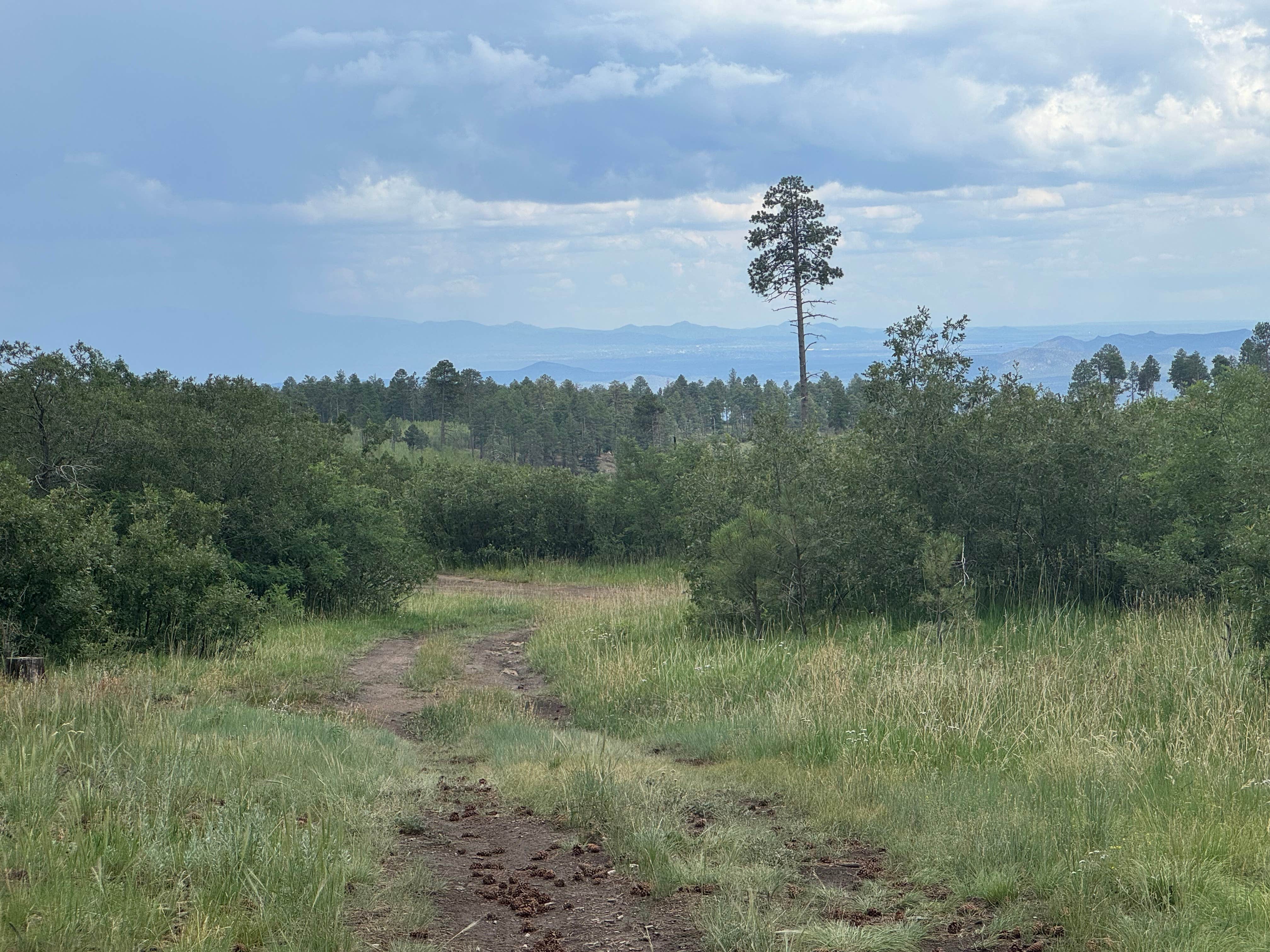 Camper-submitted photo at Two Springs Camp near Cochiti Lake, NM