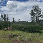 Review photo of Two Springs Camp by Byron M., July 18, 2025