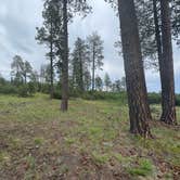 Review photo of Two Springs Camp by Byron M., July 18, 2025