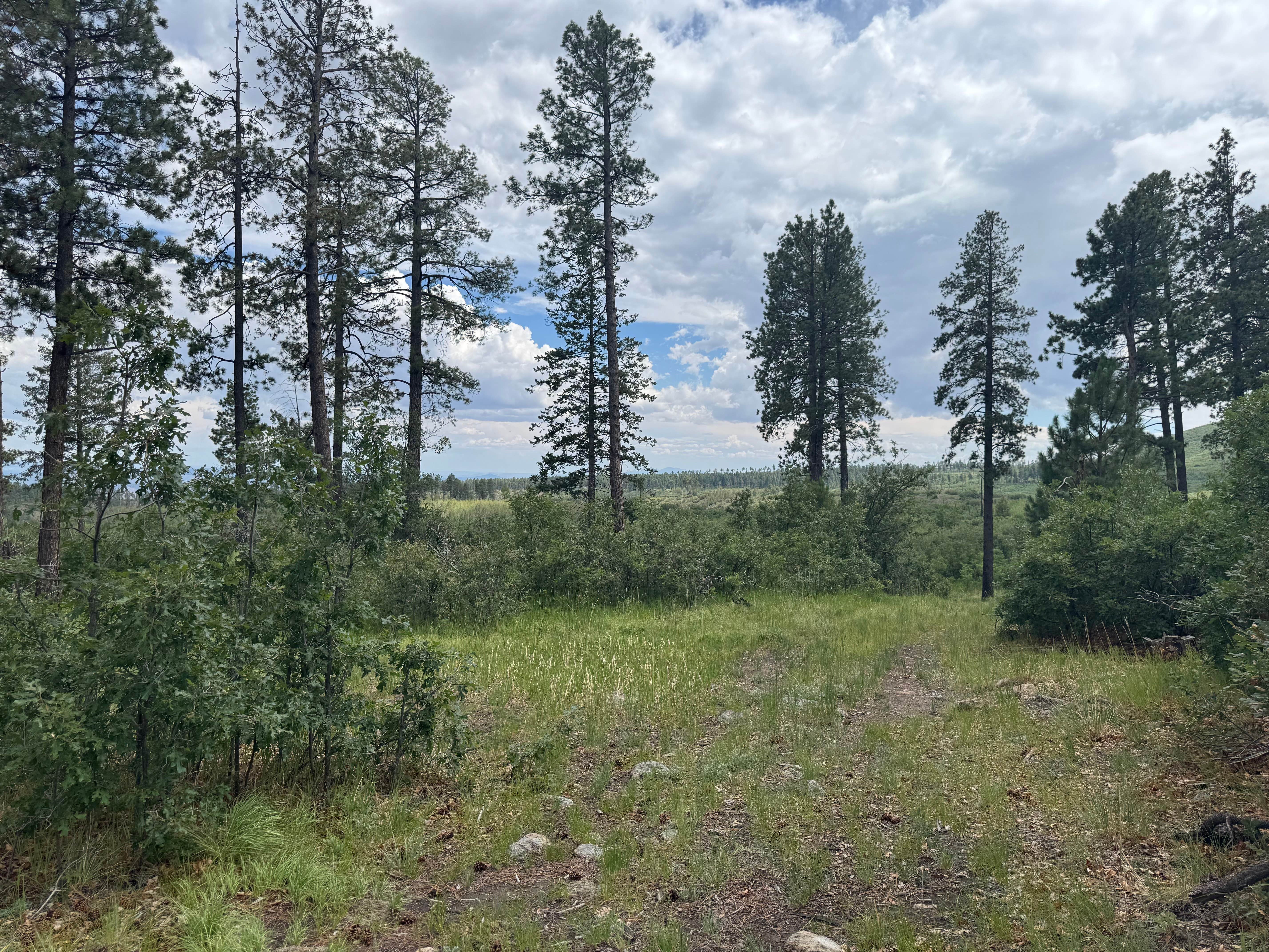 Camper-submitted photo at Two Springs Camp near Cochiti Lake, NM