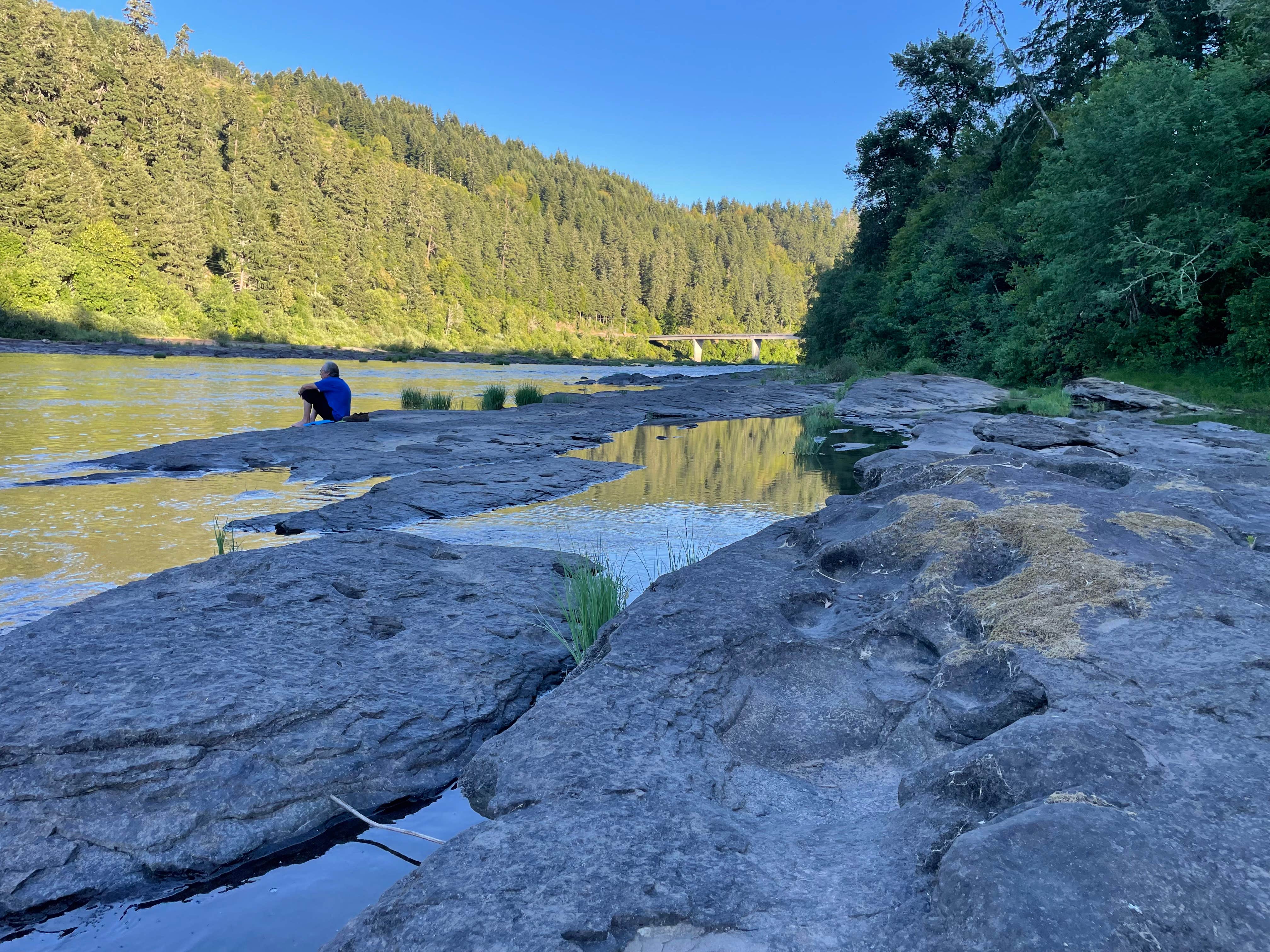 Camper submitted image from Tyee Campground (umpqua River) - 5