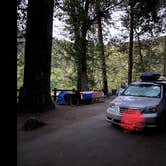 Review photo of Tyee Campground (umpqua River) by Robert N., June 28, 2024