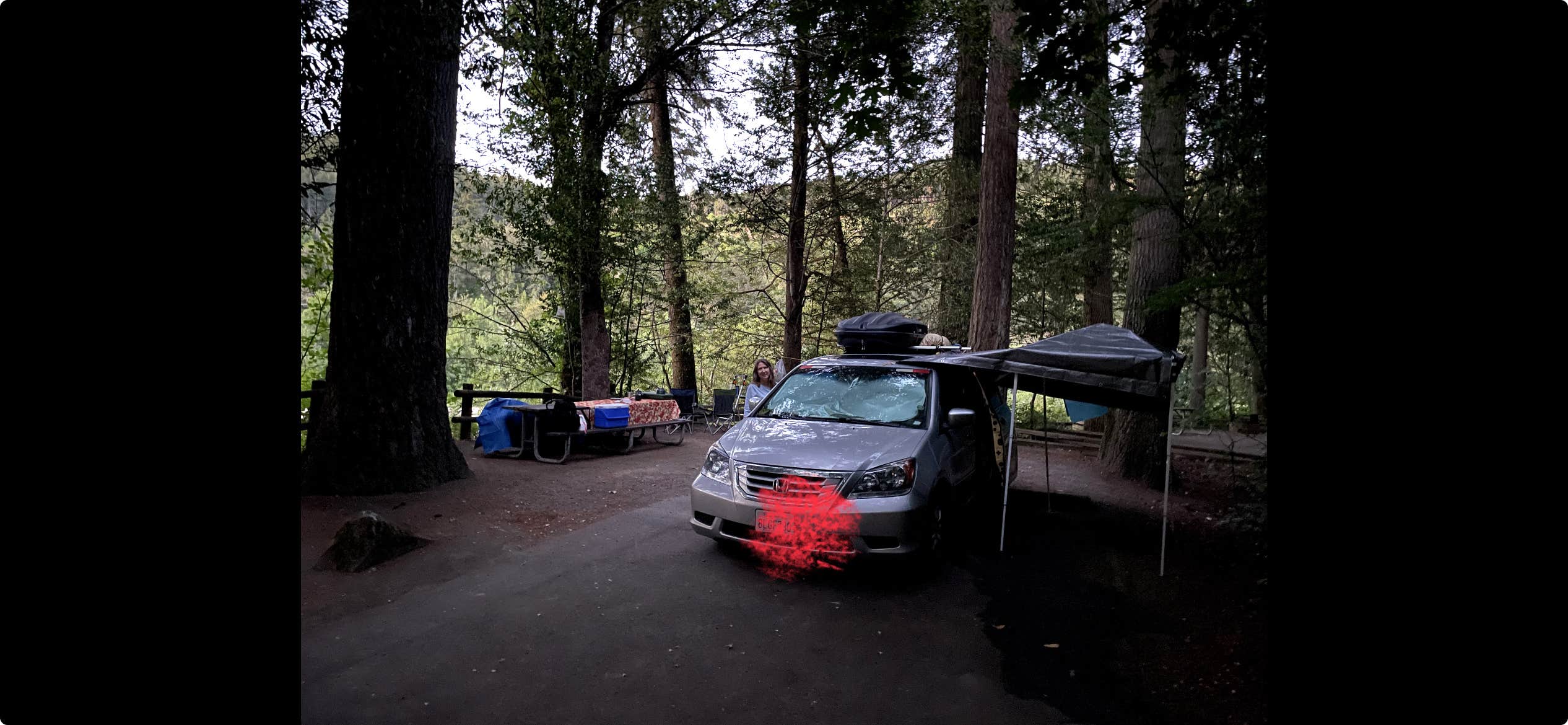 Camper submitted image from Tyee Campground (umpqua River) - 5