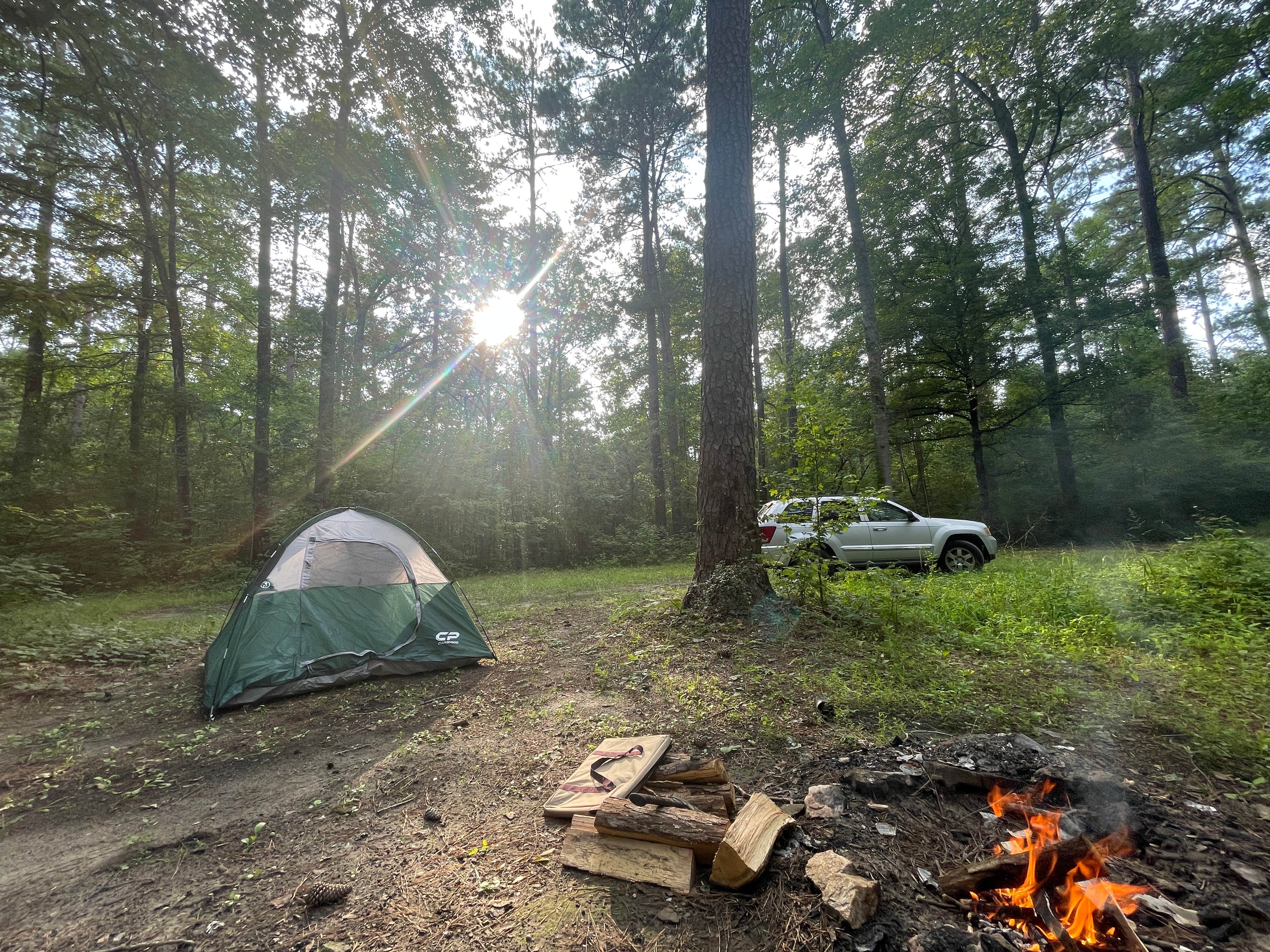 Camper submitted image from Tyler Hunt Camp - 1