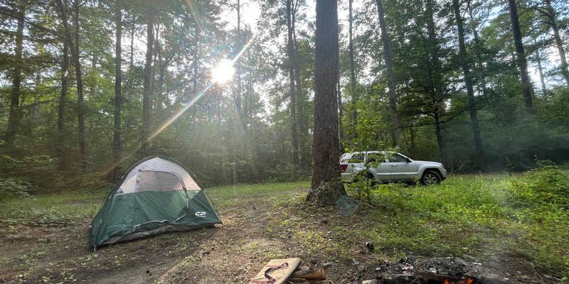 Camper submitted image from Tyler Hunt Camp