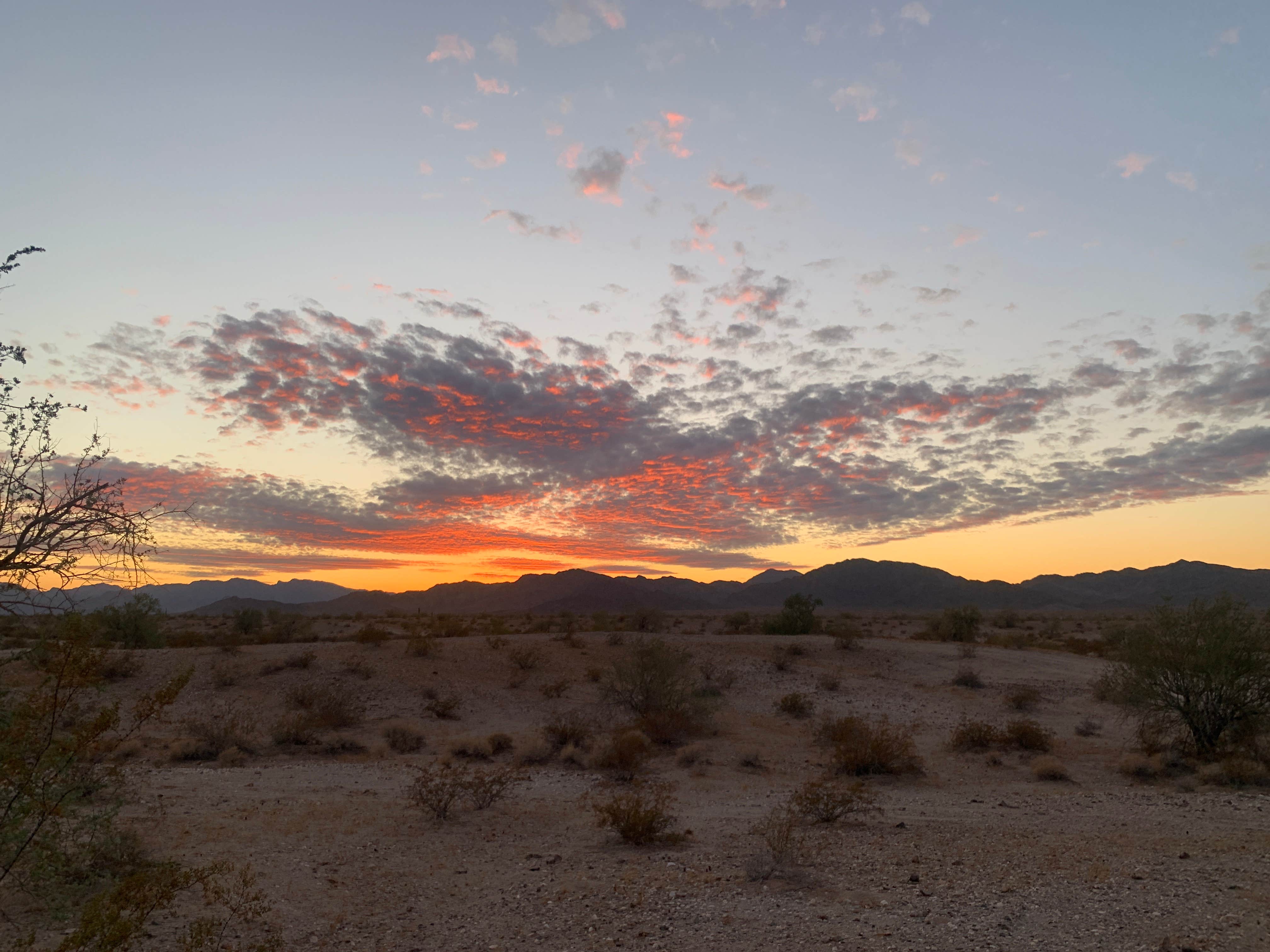 Camper submitted image from Tyson Street - North Quartzite - 3