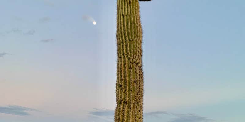 Camper submitted image from Tyson Street - North Quartzite