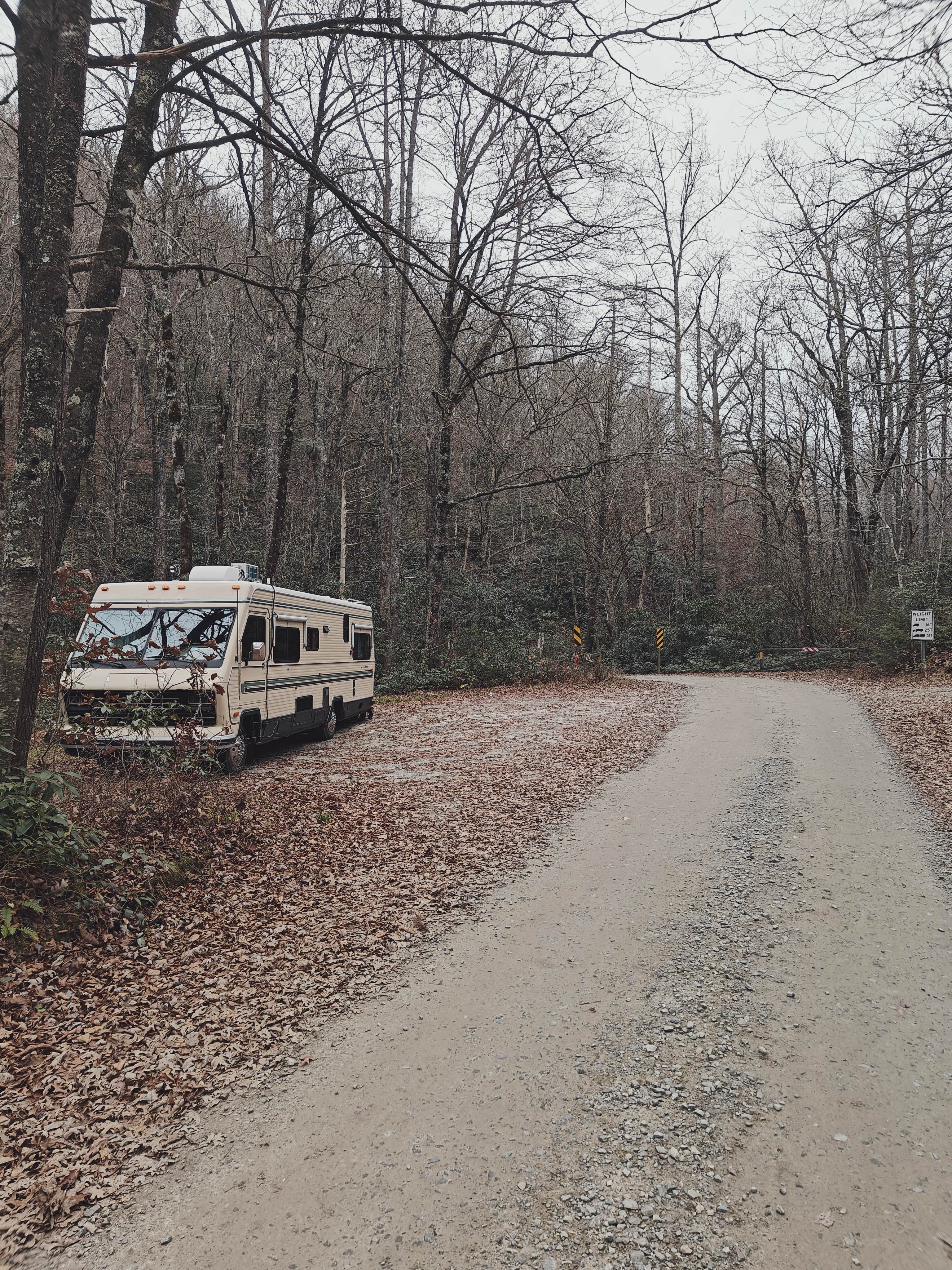 Camper-submitted photo at Upper Cove Creek - UCC2 Dispersed near Glendale, SC