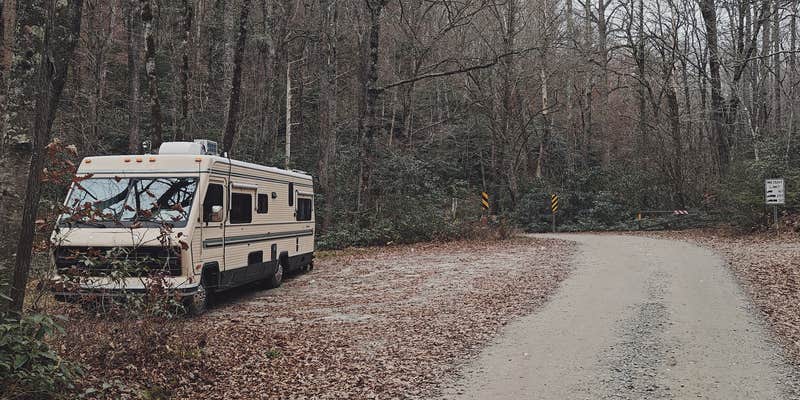 Camper submitted image from Upper Cove Creek - UCC2 Dispersed