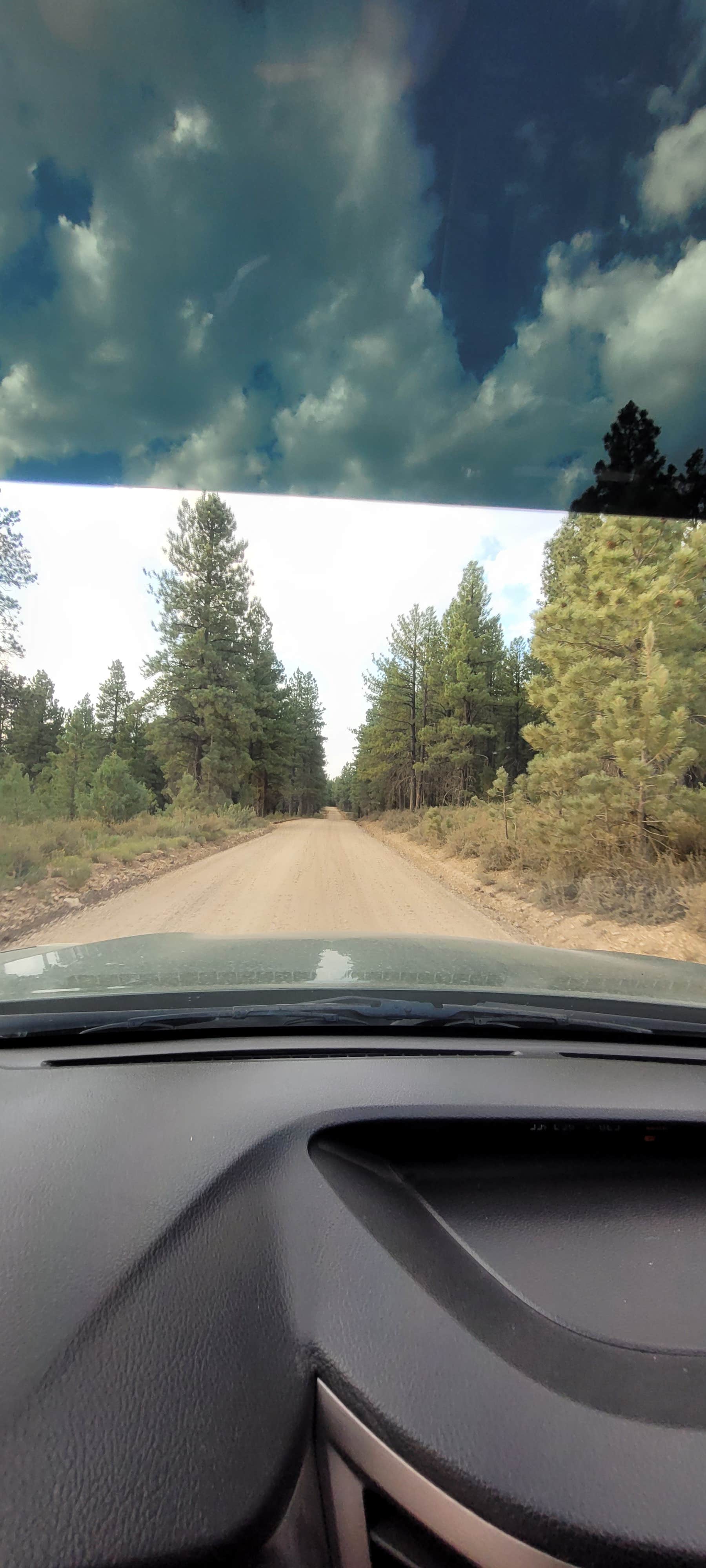 Steve M.'s photo of a dispersed camping area at Uinta Flat Dispersed near Orderville, UT
