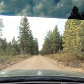 Review photo of Uinta Flat Dispersed by Steve M., July 11, 2024