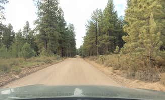 Steve M.'s photo of a dispersed camping area at Uinta Flat Dispersed near Alton, UT