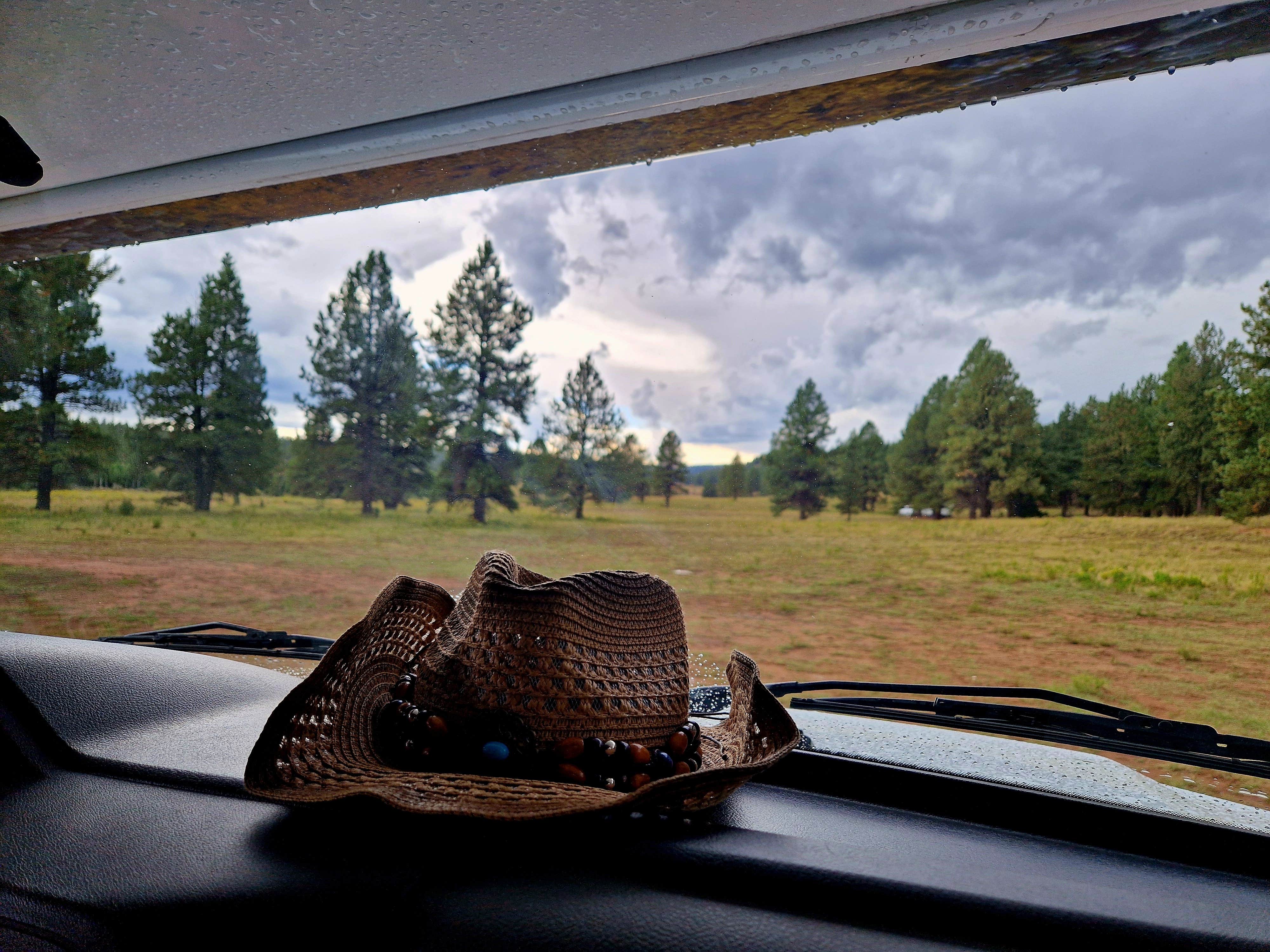 Camper-submitted photo at Uinta Flat Dispersed near Duck Creek Village, UT