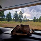 Review photo of Uinta Flat Dispersed by Thomas R., September 30, 2025