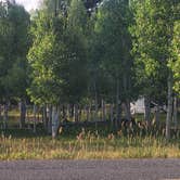 Review photo of Uinta Flat Dispersed by Steve M., July 11, 2024