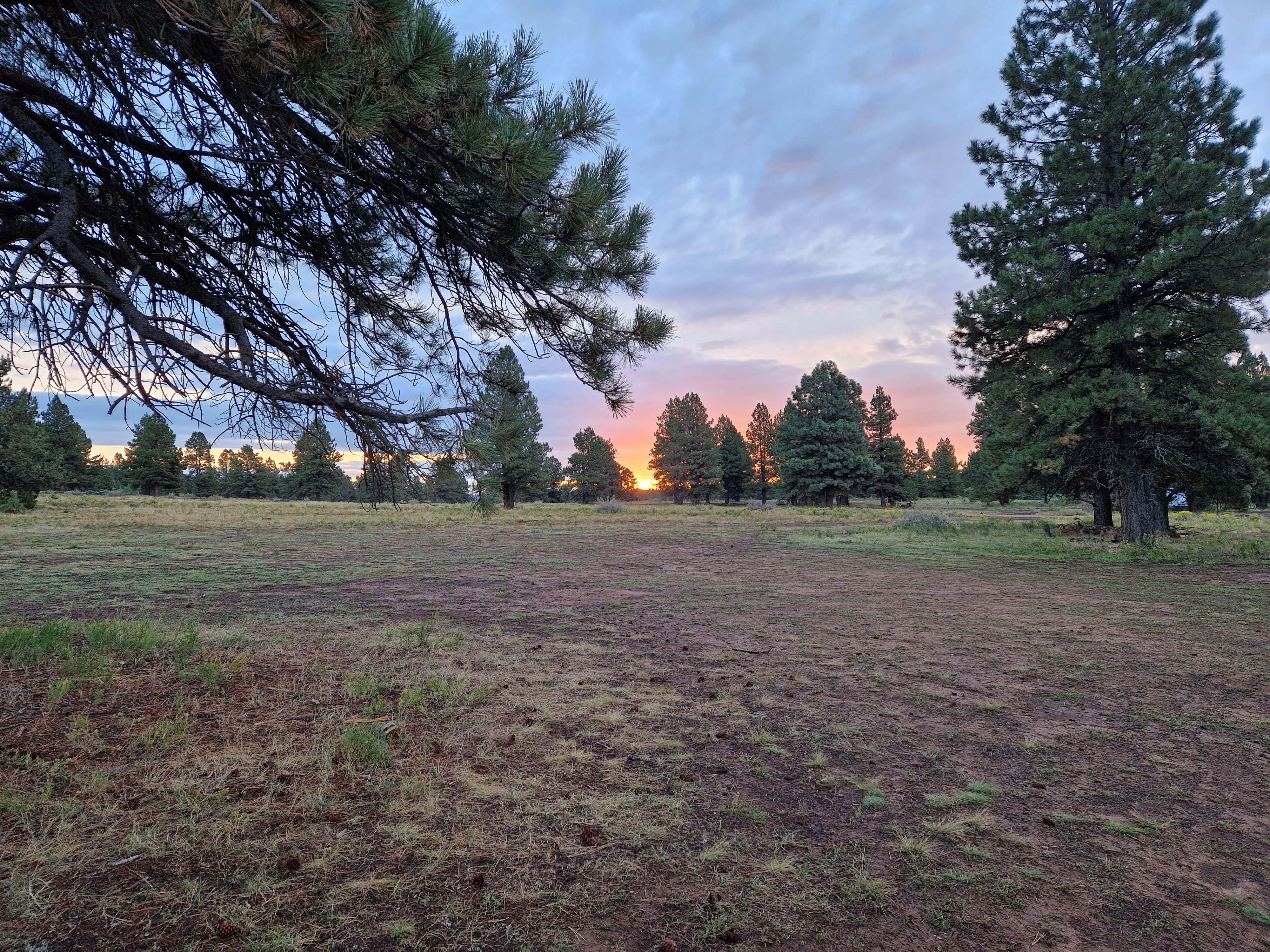 Camper-submitted photo at Uinta Flat Dispersed near Duck Creek Village, UT