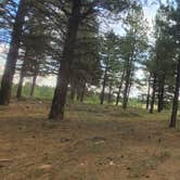 Review photo of Uinta Flat Dispersed by Steve M., July 11, 2024