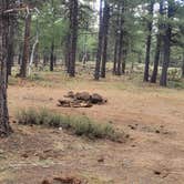 Review photo of Uinta Flat Dispersed by Steve M., July 11, 2024