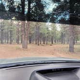 Review photo of Uinta Flat Dispersed by Steve M., July 11, 2024