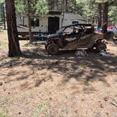 Review photo of Uinta Flat Dispersed by Fred M., June 11, 2025