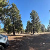 Review photo of Uinta Flat Dispersed by Daniel D., April 22, 2025