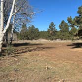 Review photo of Uinta Flat Dispersed by Daniel D., April 22, 2025