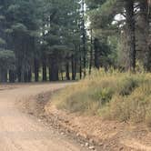 Review photo of Uinta Flat Dispersed by Steve M., July 11, 2024