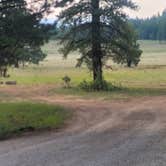 Review photo of Uinta Flat Designated Dispersed Camping Area by Steve M., July 11, 2024