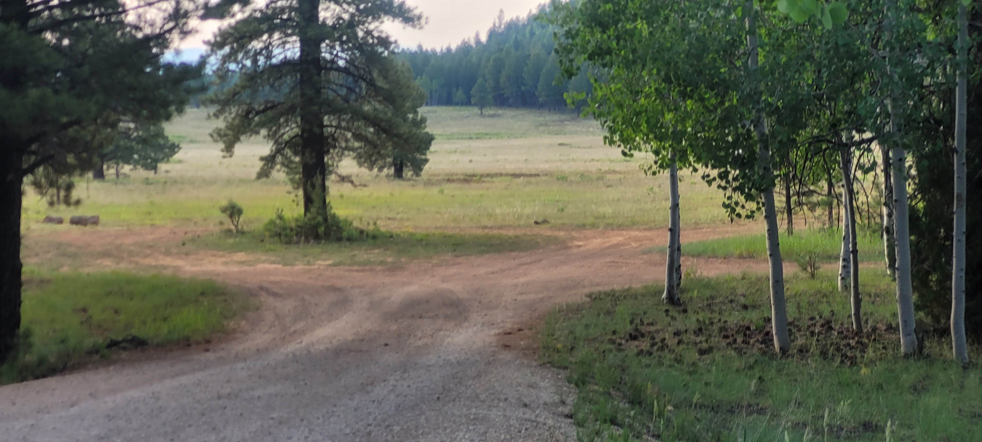 Camper submitted image from Uinta Flat Designated Dispersed Camping Area - 3