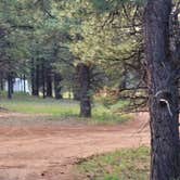 Review photo of Uinta Flat Designated Dispersed Camping Area by Steve M., July 11, 2024