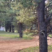 Review photo of Uinta Flat Designated Dispersed Camping Area by Steve M., July 11, 2024