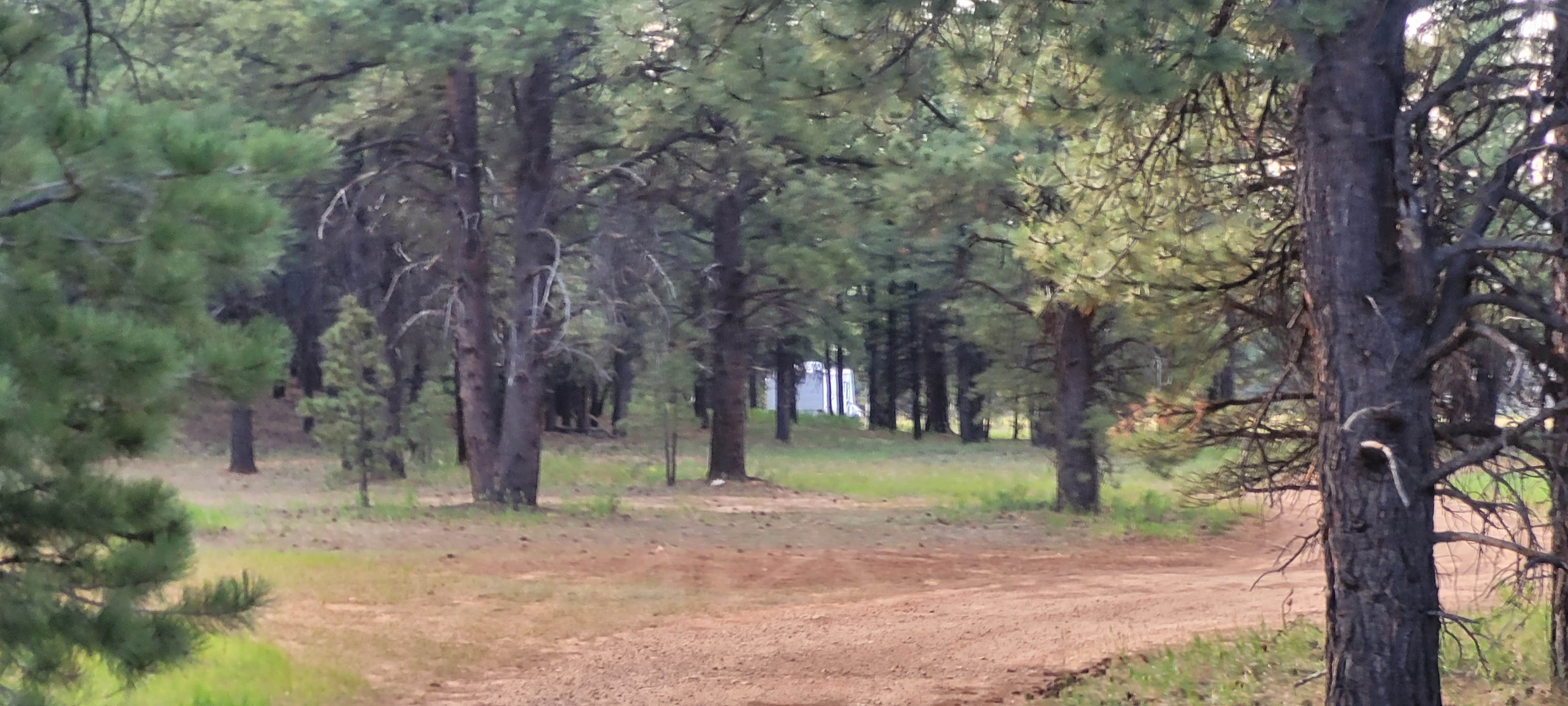 Camper submitted image from Uinta Flat Designated Dispersed Camping Area - 2