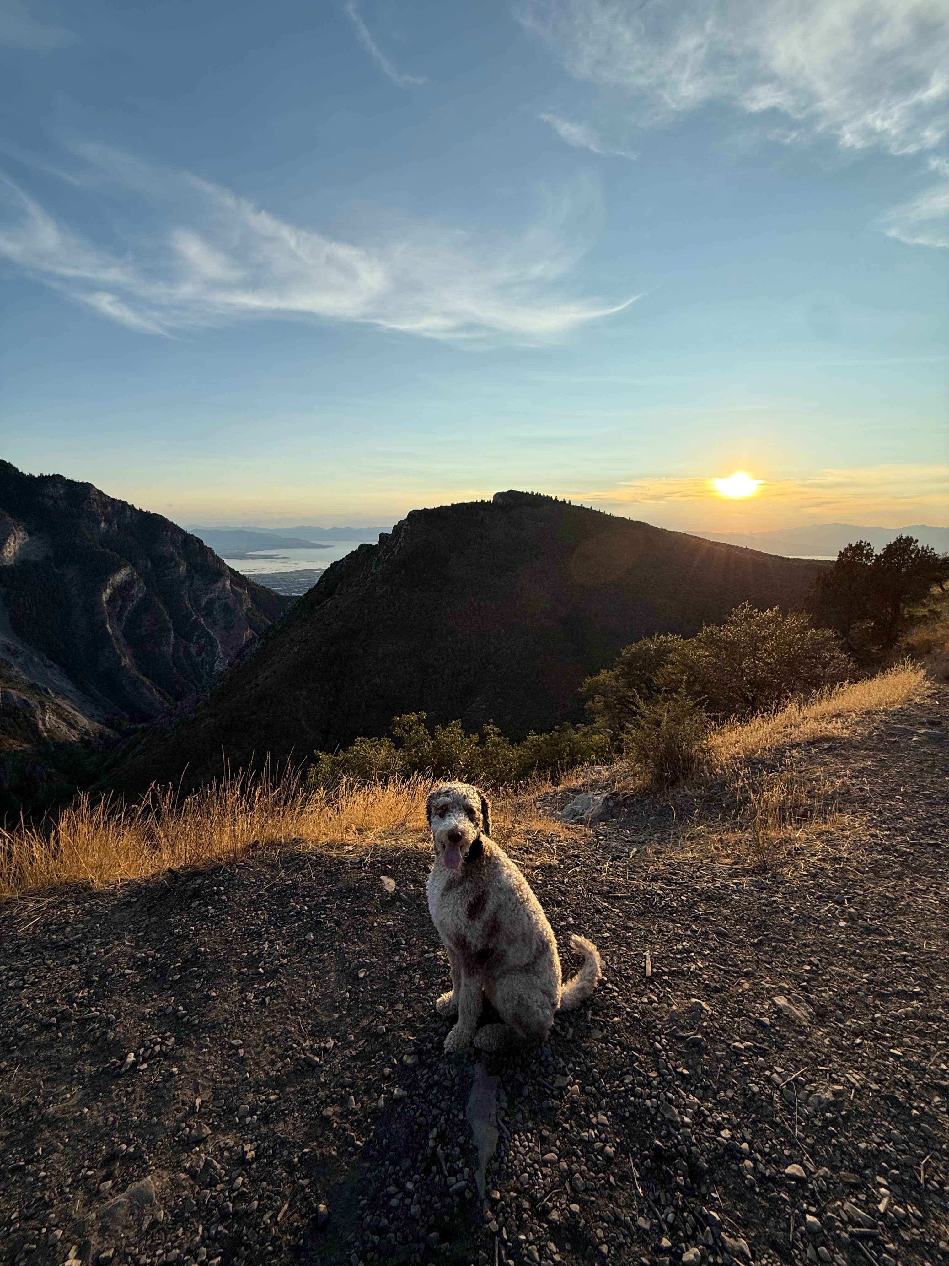 Allisson G.'s photo of camping with pets at Uinta National Forest Hope Campground near Payson, UT