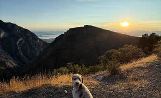 Allisson G.'s photo of camping with pets at Uinta National Forest Hope Campground near Salem, UT