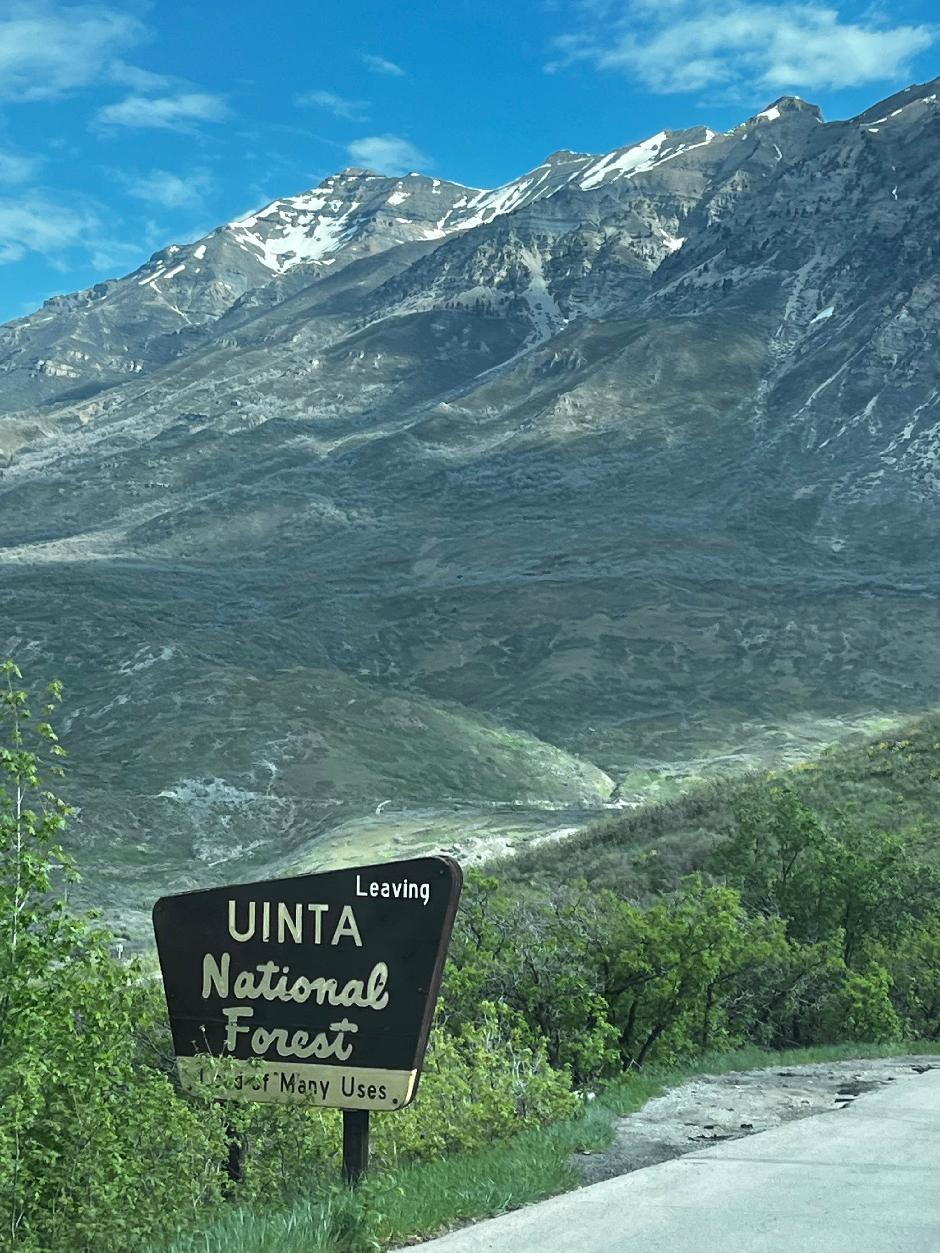 Camper submitted image from Uinta National Forest Hope Campground - 2