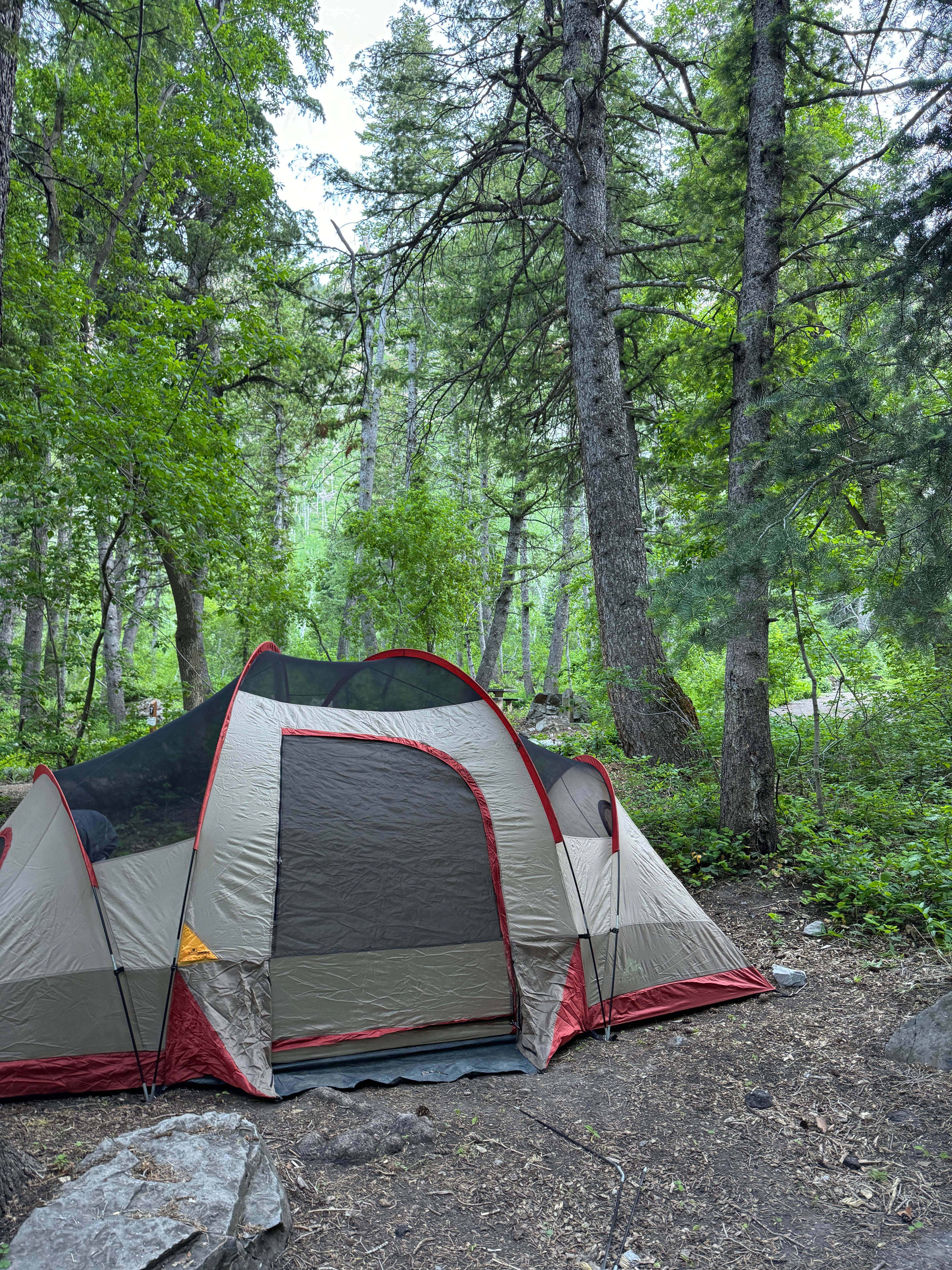 Camper submitted image from Mount Timpanogos Campground - 5