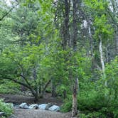 Review photo of Mount Timpanogos Campground by Elijah C., June 12, 2024