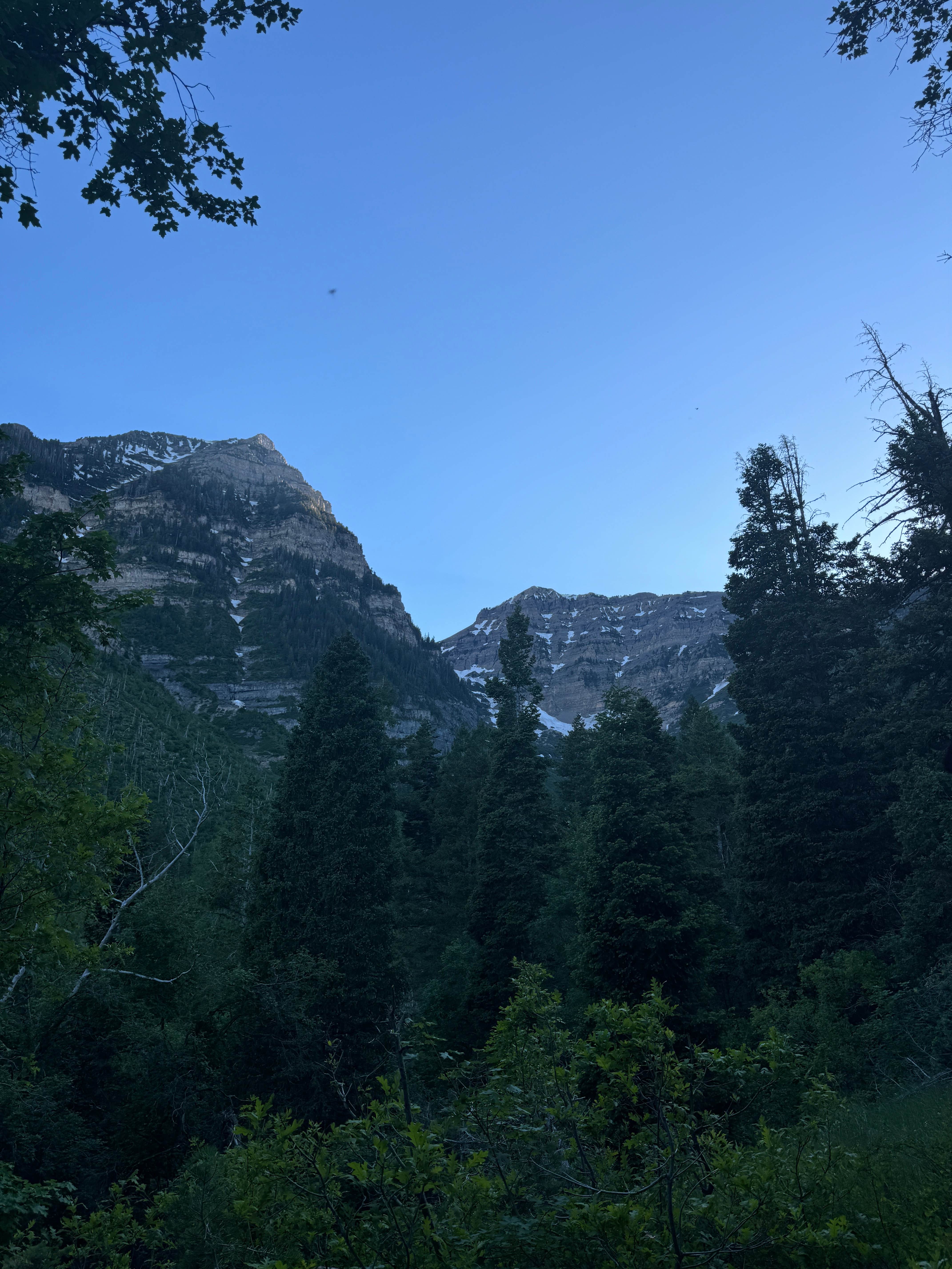 Camper-submitted photo at Mount Timpanogos Campground near Salt Lake City, UT