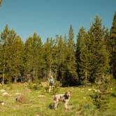 Review photo of Uinta-Wasatch-Cache National Forest Dispersed Camping by Gabe S., July 1, 2024