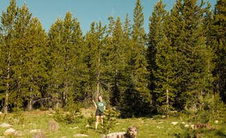 Gabe S.'s photo of camping with pets at Uinta-Wasatch-Cache National Forest Dispersed Camping near Hanna, UT