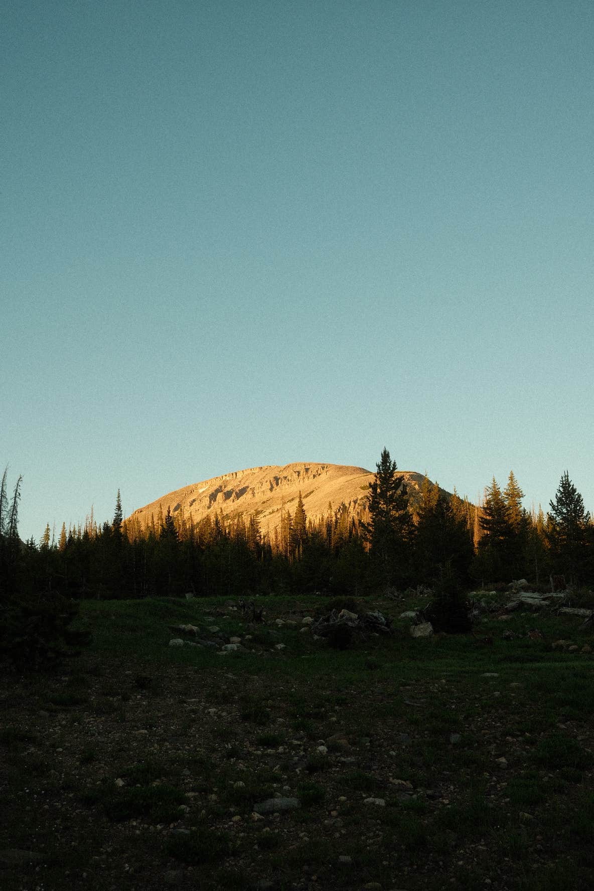 Camper-submitted photo at Uinta-Wasatch-Cache National Forest Dispersed Camping near Coalville, UT