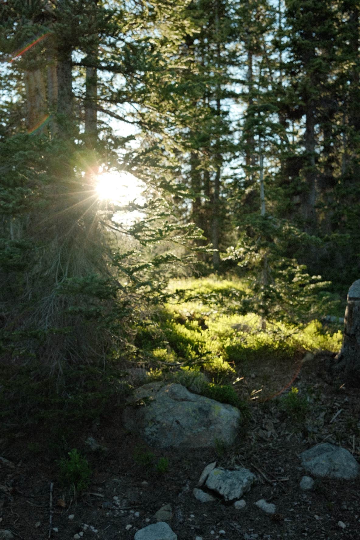 Gabe S.'s photo of a dispersed camping area at Uinta-Wasatch-Cache National Forest Dispersed Camping near Tabiona, UT