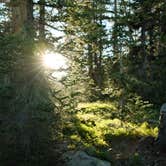 Review photo of Uinta-Wasatch-Cache National Forest Dispersed Camping by Gabe S., July 1, 2024