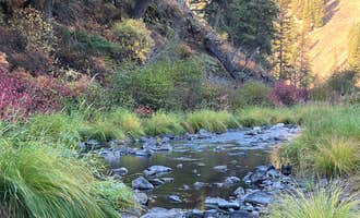 Camping near Bear Wallow Creek: Ukiah-Dale Forest State Park and Campground, Ukiah, Oregon
