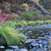 Review photo of Ukiah-Dale Forest State Park and Campground by Judy T., November 26, 2020