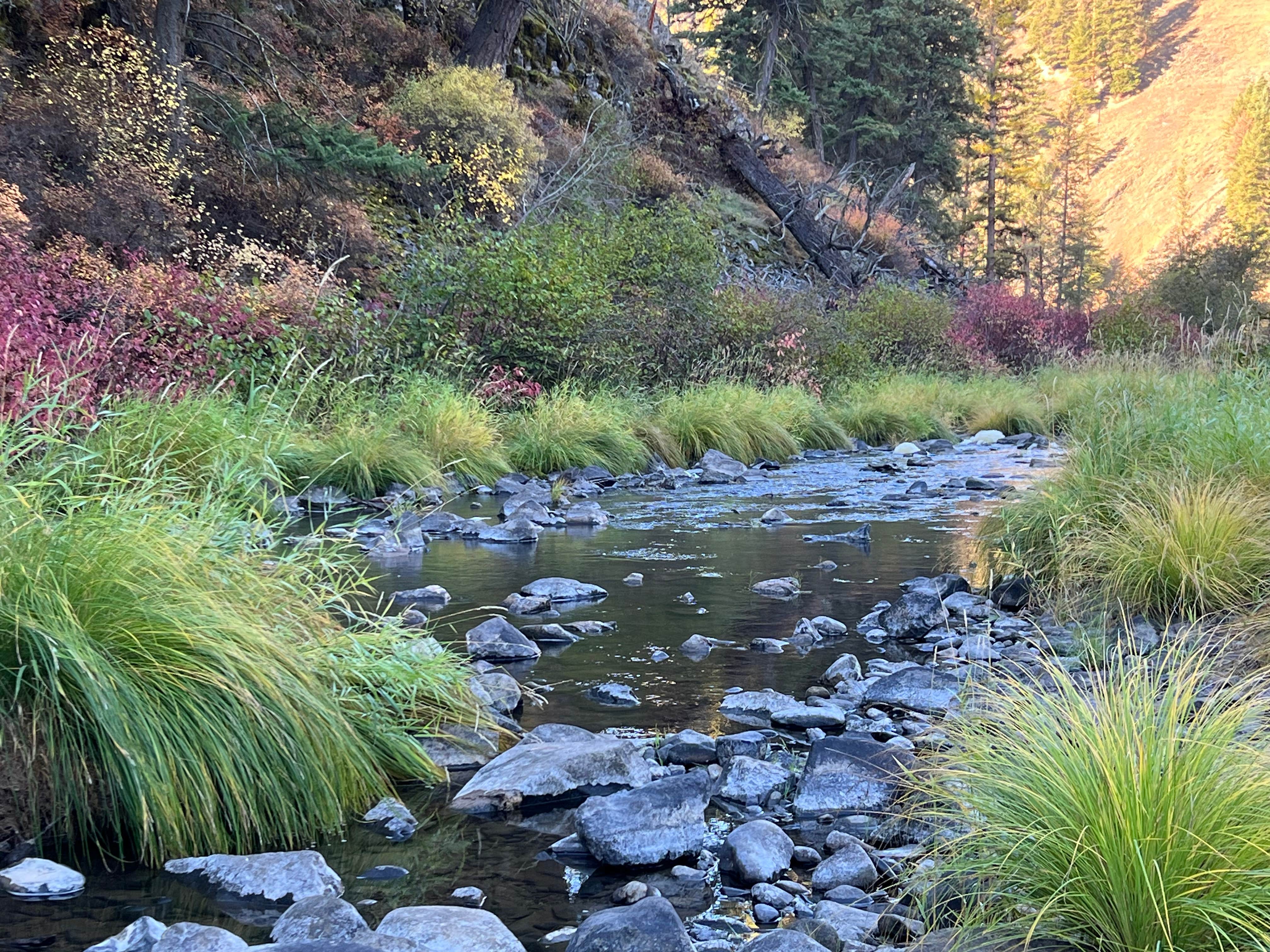 Camper submitted image from Ukiah-Dale Forest State Park and Campground - 1