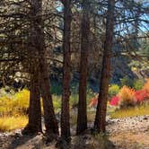 Review photo of Ukiah-Dale Forest State Park and Campground by Judy T., November 26, 2020