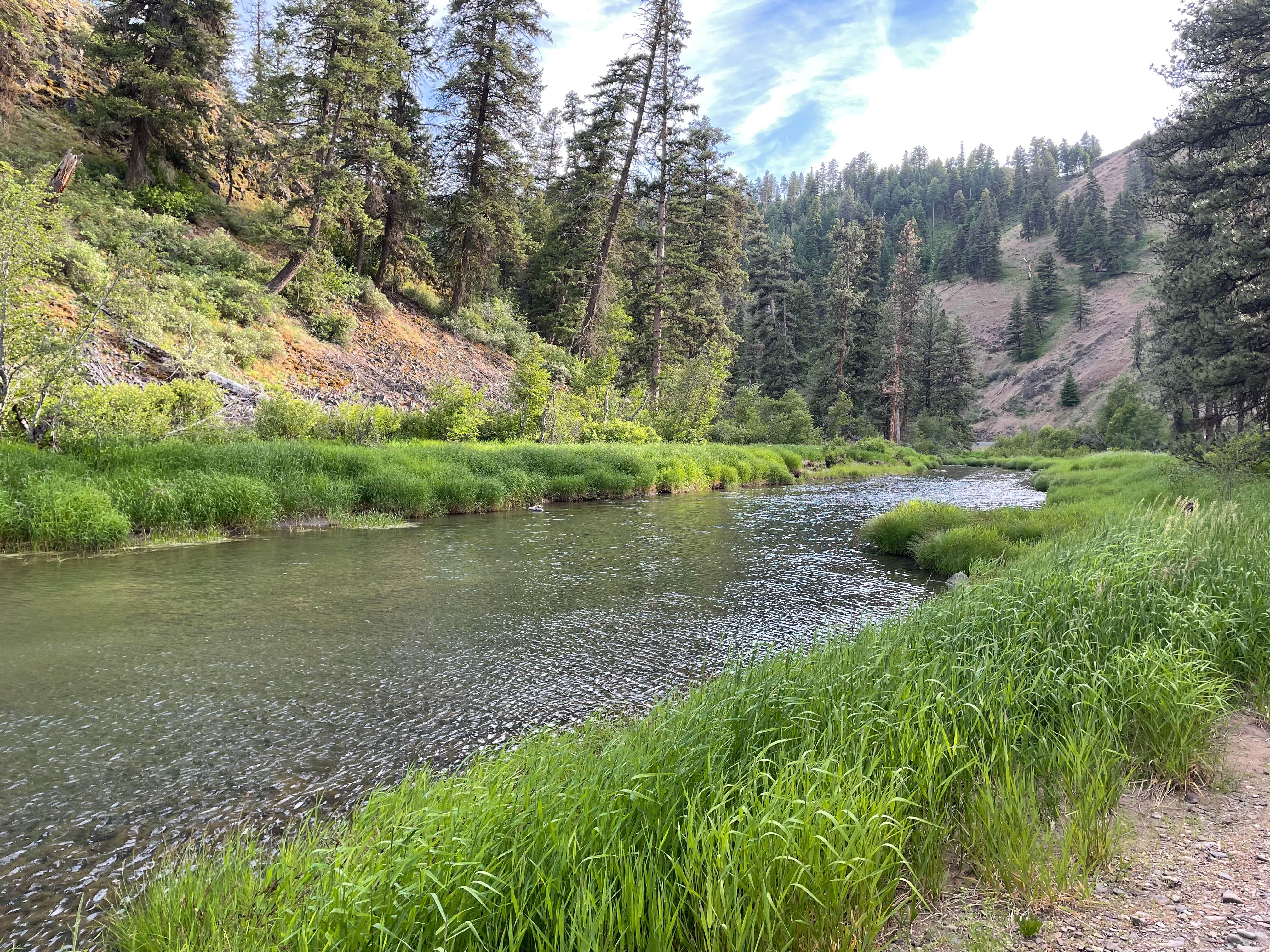Camper-submitted photo at Ukiah-Dale Forest State Park and Campground near Ukiah, OR