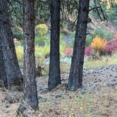 Review photo of Ukiah-Dale Forest State Park and Campground by Judy T., November 26, 2020