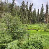 Review photo of Ukiah-Dale Forest State Park and Campground by Joy M., July 15, 2025